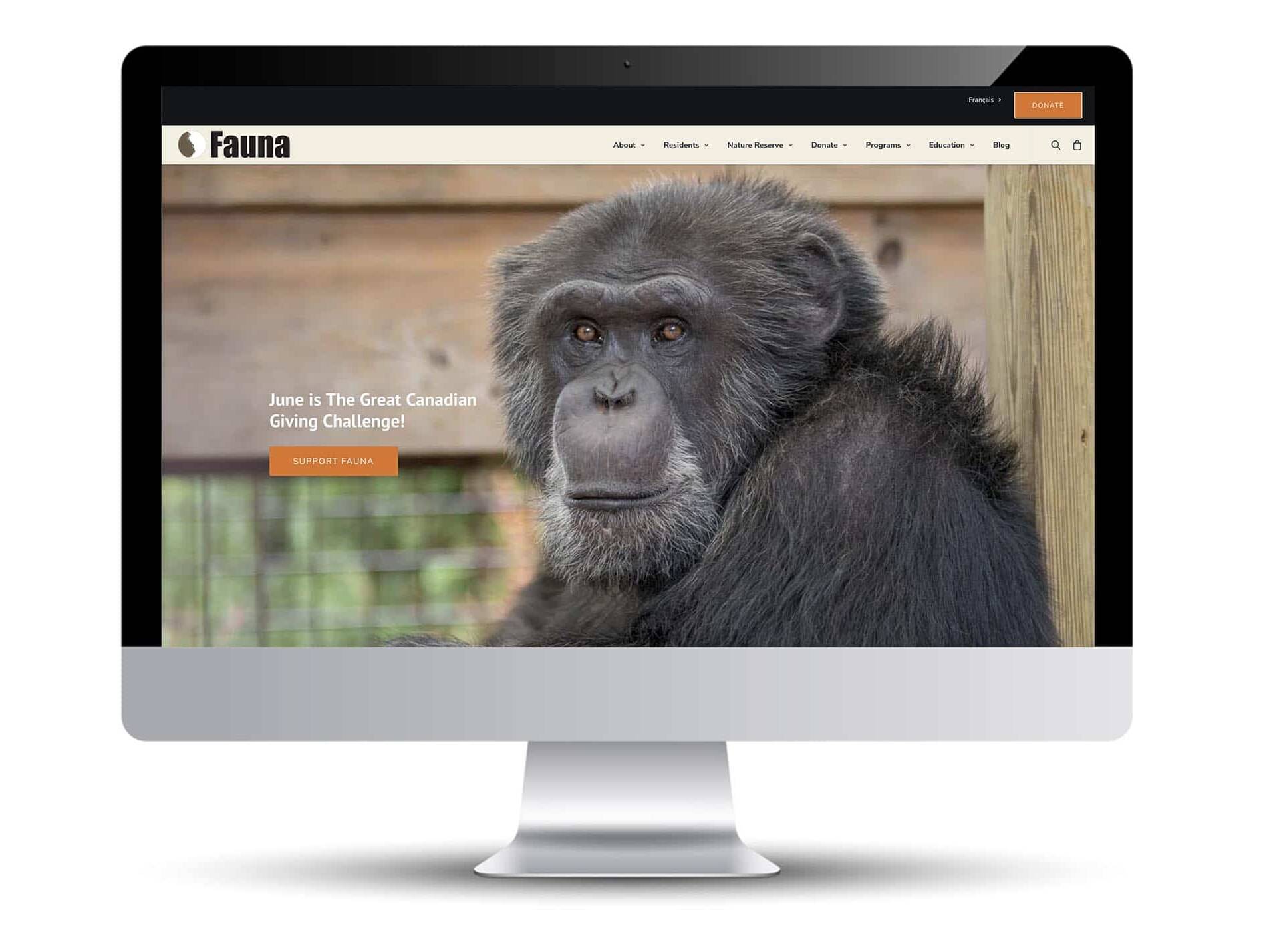Fauna Foundation